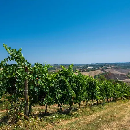 شقة Amazing Chianti Site With Shared Pool