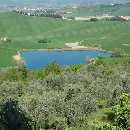 Amazing Chianti Site
